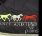 pams_klub--sdruzeni_dance-and-jump-na-deky-pro-kone_97.jpg : Dance and jump na deky pro koně