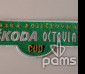 pams_klub--sdruzeni_skoda-octavia-cup_12.jpg : škoda octavia cup