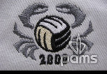 pams_klub--sdruzeni_volejbal-2000_71.jpg : volejbal 2000