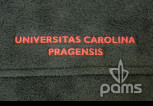 pams_skola--skolka_universitas-carolina-pragensis_83.jpg : universitas carolina pragensis