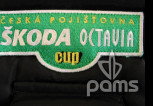 pams_sluzby_ceska-pojistovna-skoda-octavia-cup_15.jpg : Česká pojišťovna Škoda Octavia cup