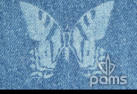 pams_technologie_motyl-na-riflovy-material_14.jpg : motýl na riflový materiál