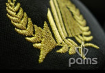 pams_vysivani-detaily_zlata-ratolest-uniforma-pilotu_75.jpg : zlatá ratolest uniforma pilotů