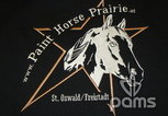 pams_vysivky_kun--www-painthors-prairie-at_87.jpg : kůň, www.PaintHors Prairie.at